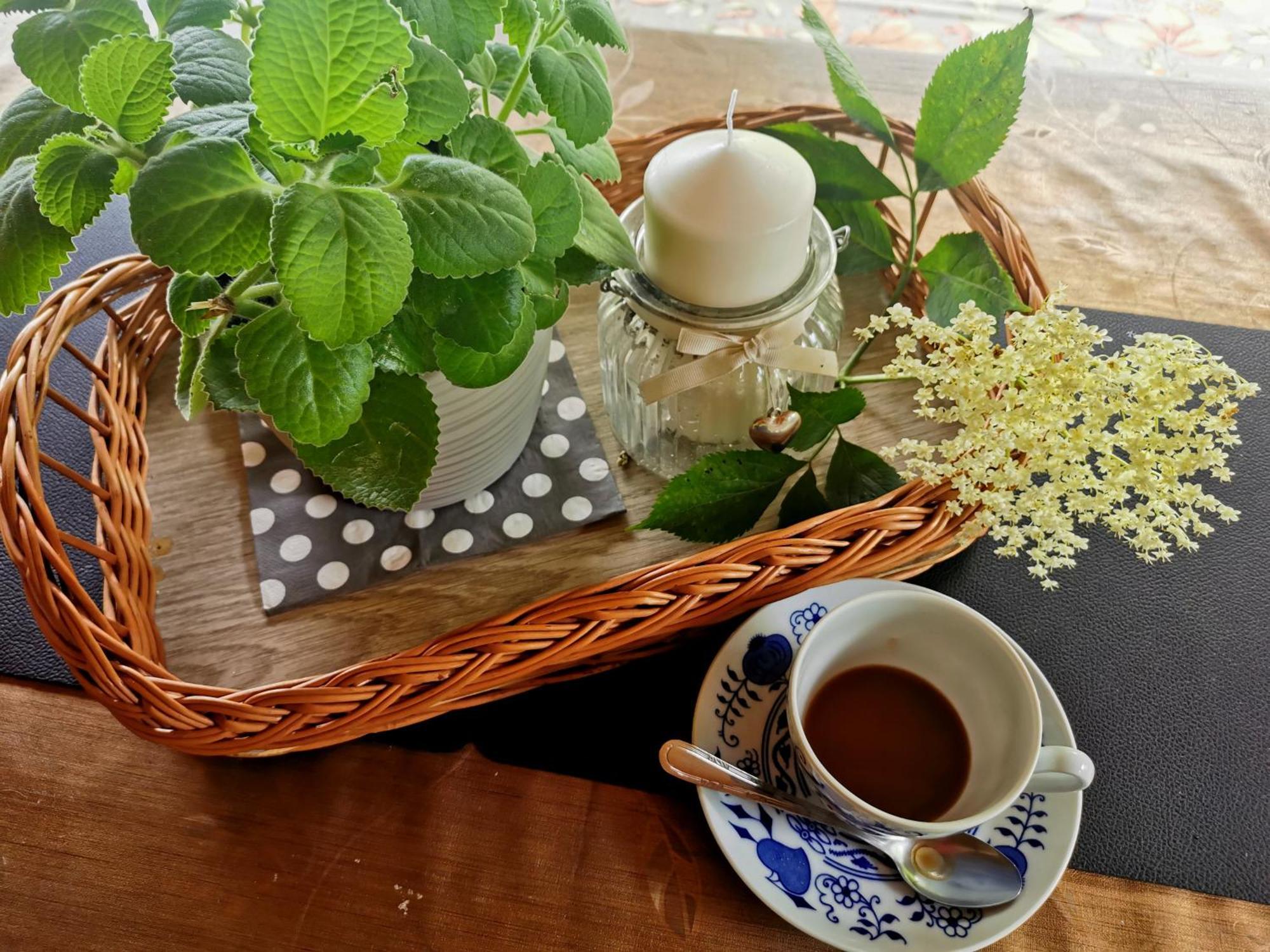 Chata Podolina Terchova Ngoại thất bức ảnh